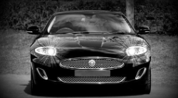 Custom Headlamp Mobil